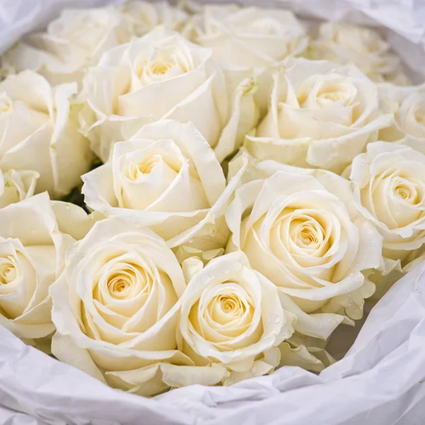 Изящность – букет из белых роз